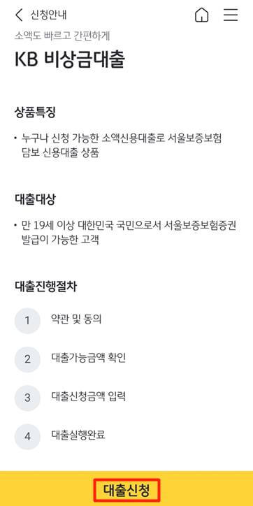 국민은행 비대면 대출