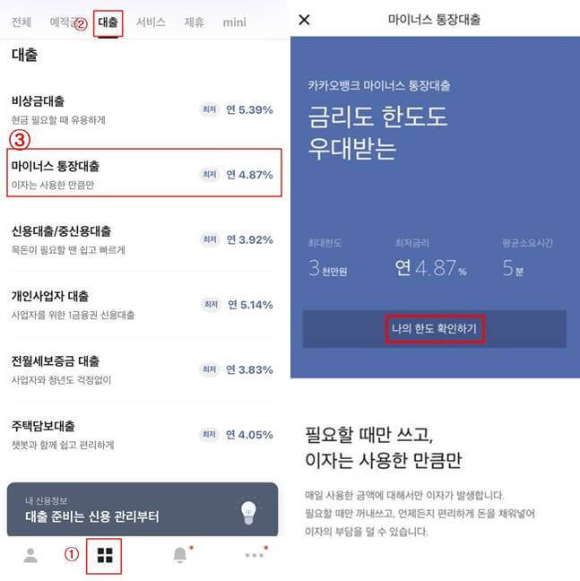 카카오뱅크 마이너스 대출