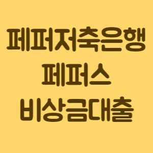 페퍼스비상금대출